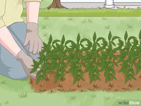 Image titled Help Protect Biodiversity Step 2