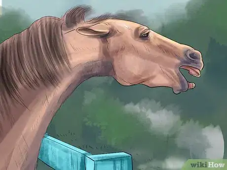 Image titled Treat External Horse Parasites Step 3