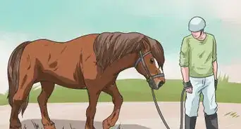 Stay Safe on a Trail Ride