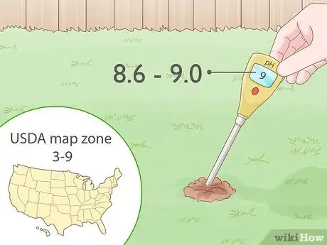 Image titled Grow Sweetgrass Step 2