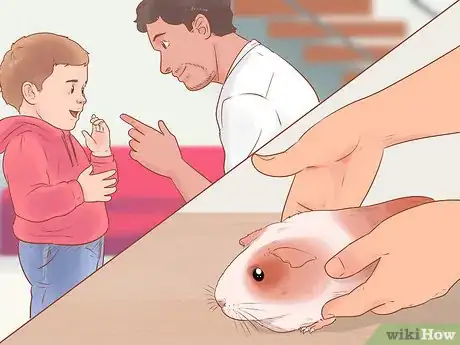 Image titled Keep a Guinea Pig Safe Around Kids Step 3