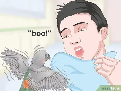 Image titled Keep a Red Bellied Parrot Entertained Step 12