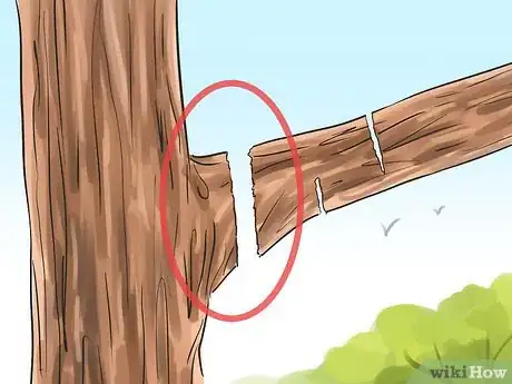 Image titled Prune a Redbud Tree Step 3