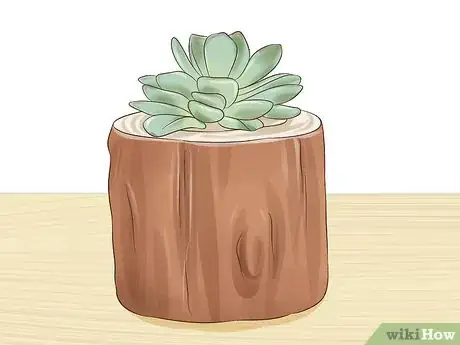 Image titled Display Succulents Step 4