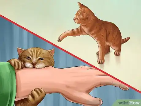 Image titled Train Your Cat with Positive Reinforcement Step 8