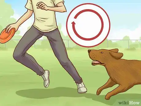 Image titled Adopt a Senior Dog Step 16