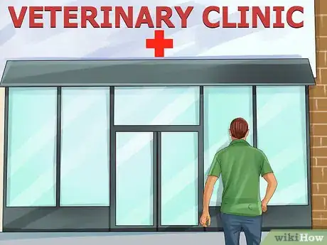 Image titled Find an Exotic Animal Vet Step 8