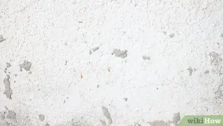 Image titled Make Moss Graffiti Step 8