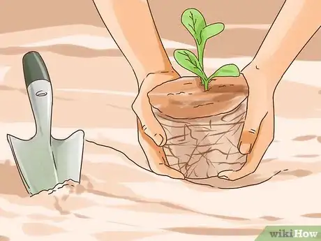 Image titled Make a Fall Flower Garden Step 9