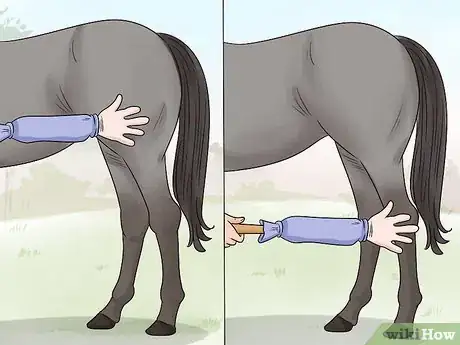 Image titled Train Your Horse for the Farrier Step 6
