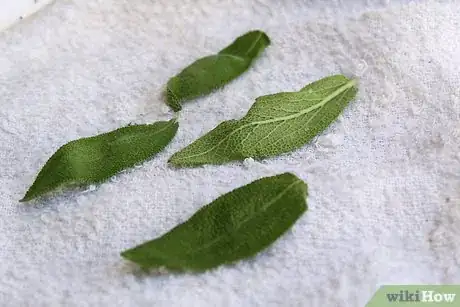 Image titled Dry Sage Step 5