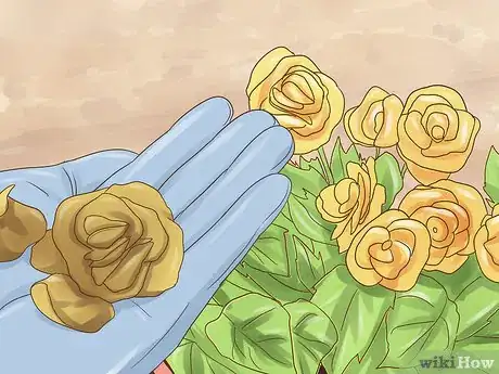 Image titled Grow Miniature Houseplants Step 14