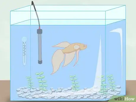 Image titled Clean a Betta Fish Tank Step 11