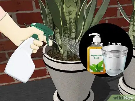 Image titled Remove Ants from Potted Plants Step 4