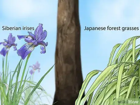 Image titled Plant Under a Tree Step 1