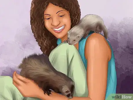 Image titled Buy a Ferret Step 2