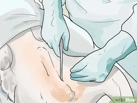 Image titled Care for Labradoodles Step 14