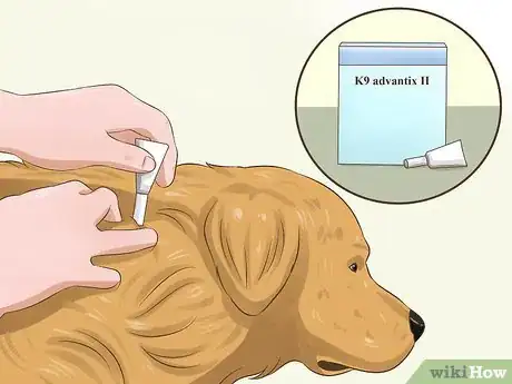 Image titled Protect Your Pets from Summertime Pests Step 8