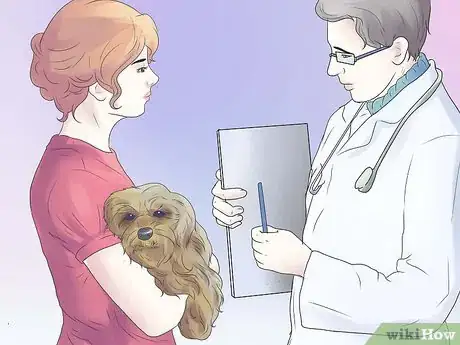 Image titled Remove Ear Mites from a Dog Step 12