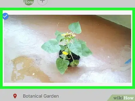 Image titled Merge Albums on Google Photos on iPhone or iPad Step 6