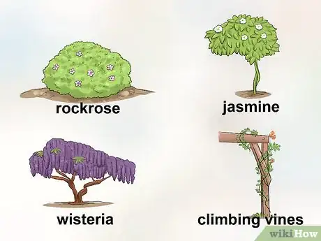 Image titled Garden in a Mediterranean Climate Step 4