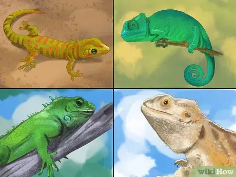 Image titled Choose the Right Reptile as a Pet Step 1