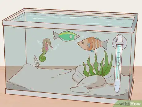 Image titled Choose Good Tankmates for Seahorses Step 2