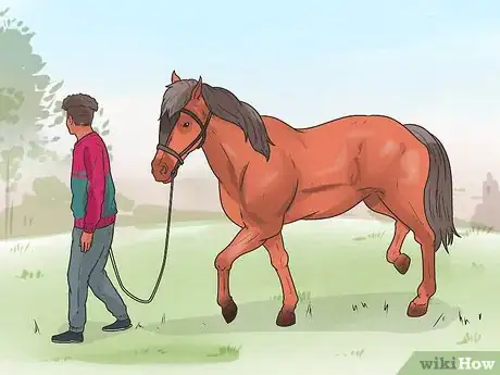 Image titled Make a Horse Stop Rearing while Riding Step 9