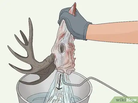 Image titled Do a European Mount Step 4