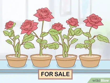 Image titled Grow Long Stem Roses at Home Step 3