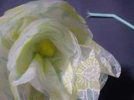 Image titled Nf25_229.JPG