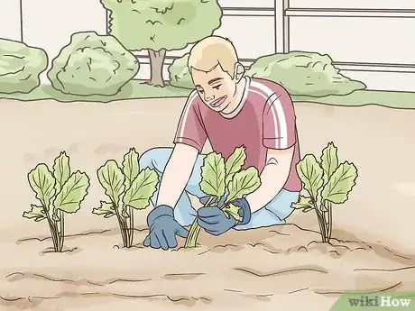 Image titled Grow a Sustainable Garden Step 7