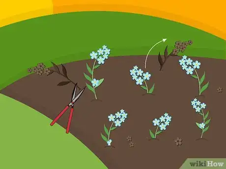 Image titled Plant Forget Me Not Seeds Step 13
