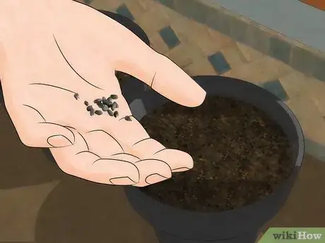 Image titled Grow an Indoor Herb Garden Step 5