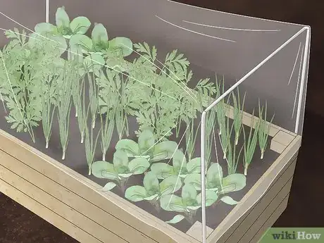 Image titled Kill Leaf Footed Bugs Step 14