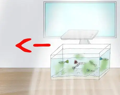 Image titled Types of bottom feeders3652