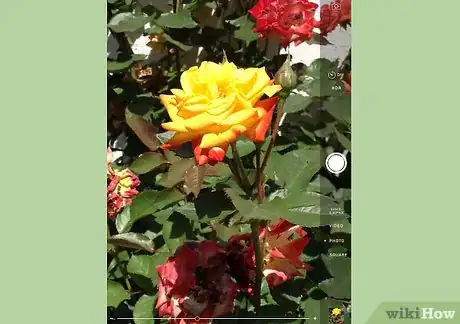 Image titled Zoom on an iPad Camera Step 2