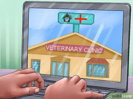 Image titled Buy a Ferret Step 6