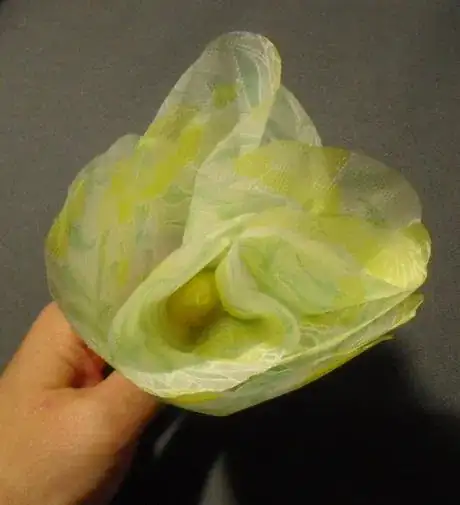 Image titled Nf22_821.JPG