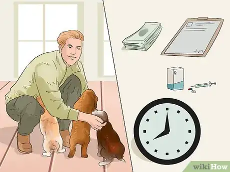 Image titled Breed Scottish Cocker Spaniels Step 6