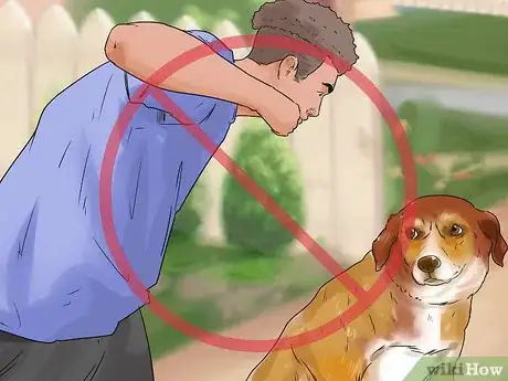 Image titled Help a Reactive Dog Relax Around Food Step 11