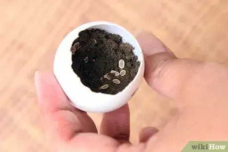 Image titled Recycle Eggshells in Gardening Activities Step 6Bullet4