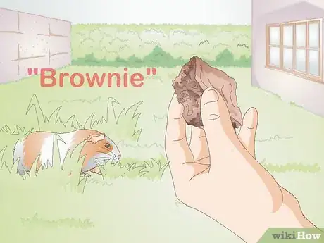 Image titled Choose Your Guinea Pig's Name Step 8
