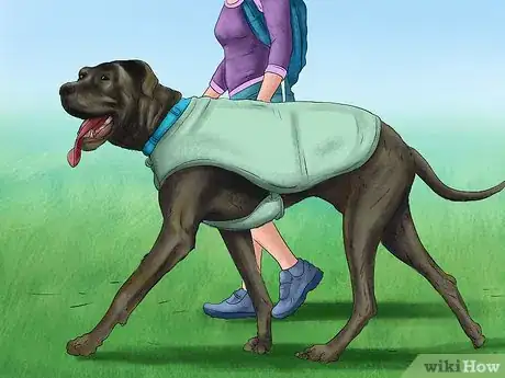 Image titled Keep Your Dog Safe on a Boat Ride Step 11