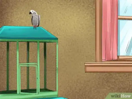 Image titled Select a Pet Parrot Step 8