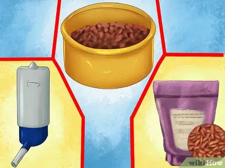 Image titled Buy a Ferret Step 9