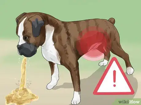 Image titled Adopt a Working Dog Step 7