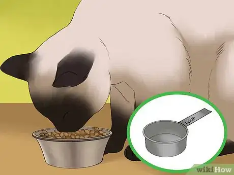 Image titled Eat Without a Cat Begging Step 7