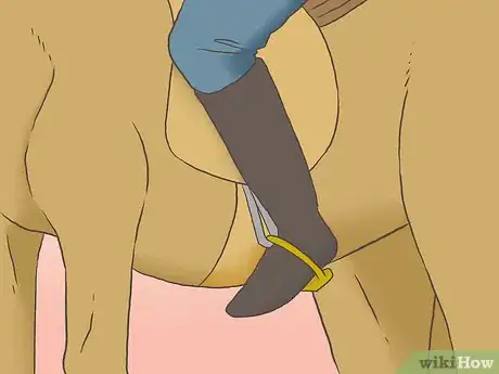 Image titled Ride a Gaited Horse Step 7
