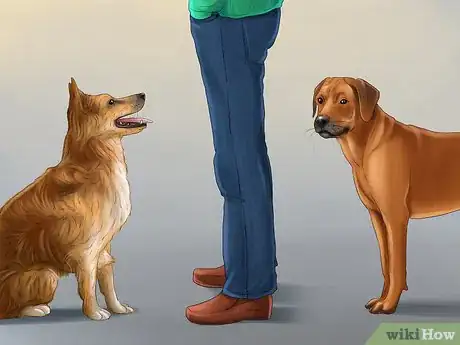 Image titled Keep Your Dog and Other Dogs Safe at the Vet Step 9